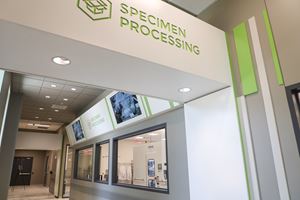 Large windows into the laboratory space and video monitors allow visitors to understand each step of the testing process.