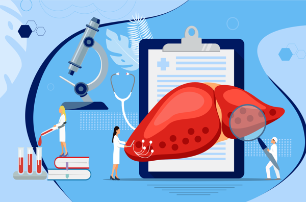 Illustration of researchers pouring liquid into test tubes and examining a large liver graphic